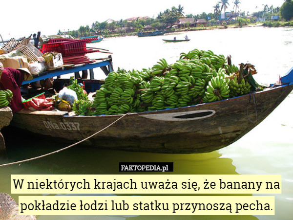 W niektórych krajach uważa się, że banany na pokładzie łodzi lub statku
