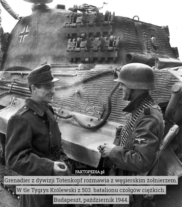 Grenadier z dywizji Totenkopf rozmawia z węgierskim żołnierzem. W tle Tygrys