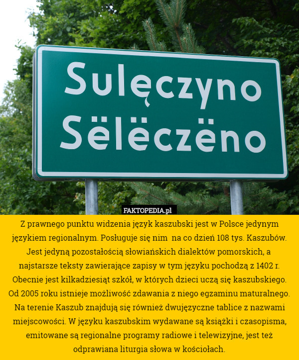 Z prawnego punktu widzenia język kaszubski jest w Polsce jedynym językiem