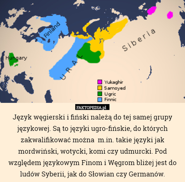 Język węgierski i fiński należą do tej samej grupy językowej. Są to języki