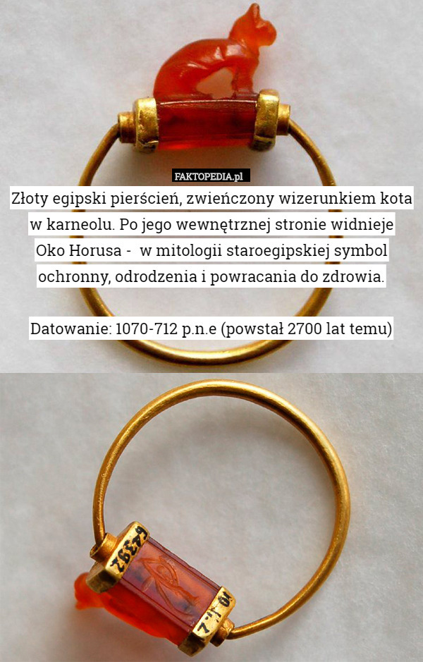 Złoty egipski pierścień.Zwieńczony wizerunkiem kota w karneolu.Po jego