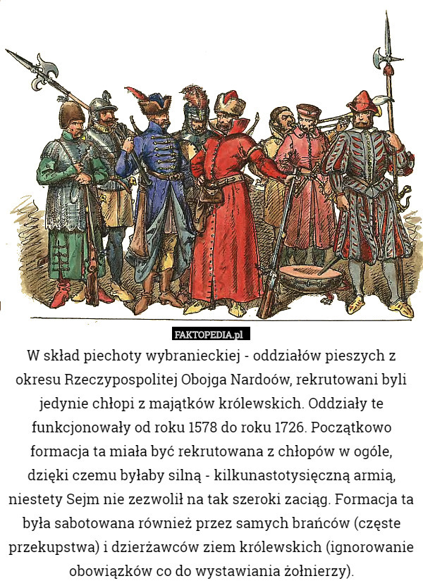 W skład piechoty wybranieckiej - oddziałów pieszych z okresu Rzeczypospolitej