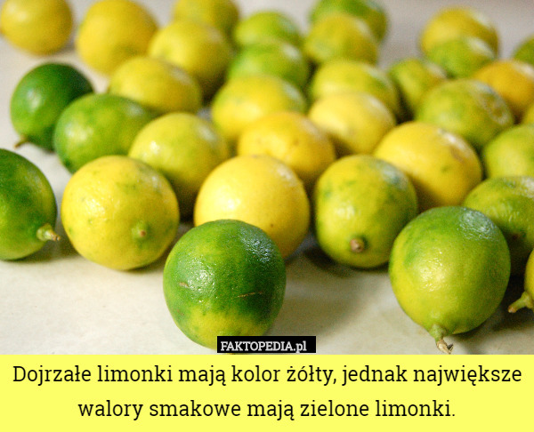 Dojrzałe limonki mają kolor żółty, jednak największe walory smakowe mają