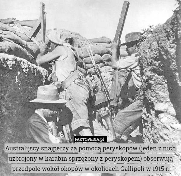 Australijscy snajperzy za pomocą peryskopów (jeden z nich uzbrojony w karabin