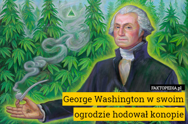 George Washington w swoimogrodzie hodował konopie
