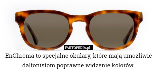 EnChroma to specjalne okulary, które mają umożliwić daltonistom poprawne