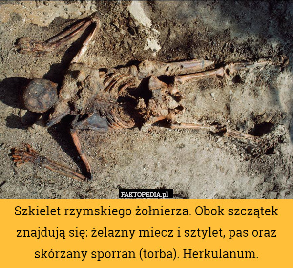 Szkielet rzymskiego żołnierza. Obok szczątek znajdują się: żelazny miecz