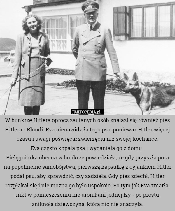 W bunkrze Hitlera oprócz zaufanych osób znalazł się również pies Hitlera