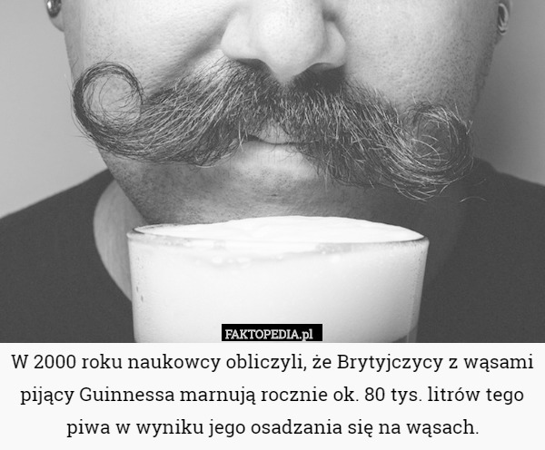 W 2000 roku naukowcy obliczyli, że Brytyjczycy z wąsami pijący Guinnessa