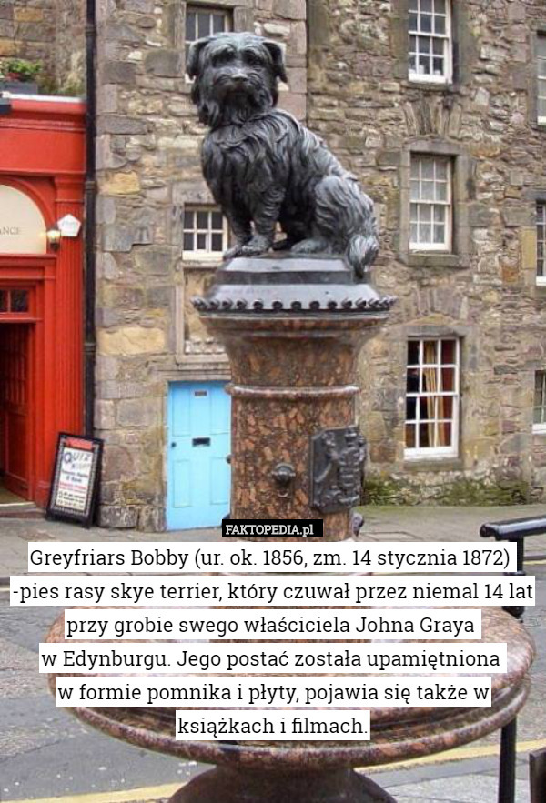 Greyfriars Bobby (ur. ok. 1856, zm. 14 stycznia 1872) 
-pies rasy skye terrier,