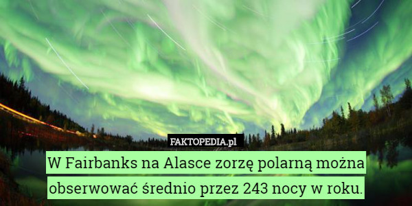 W Fairbanks na Alasce zorzę polarną można obserwować średnio przez 243 nocy