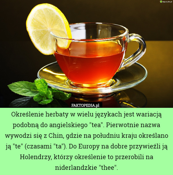 Określenie herbaty w wielu językach jest wariacją podobną do angielskiego