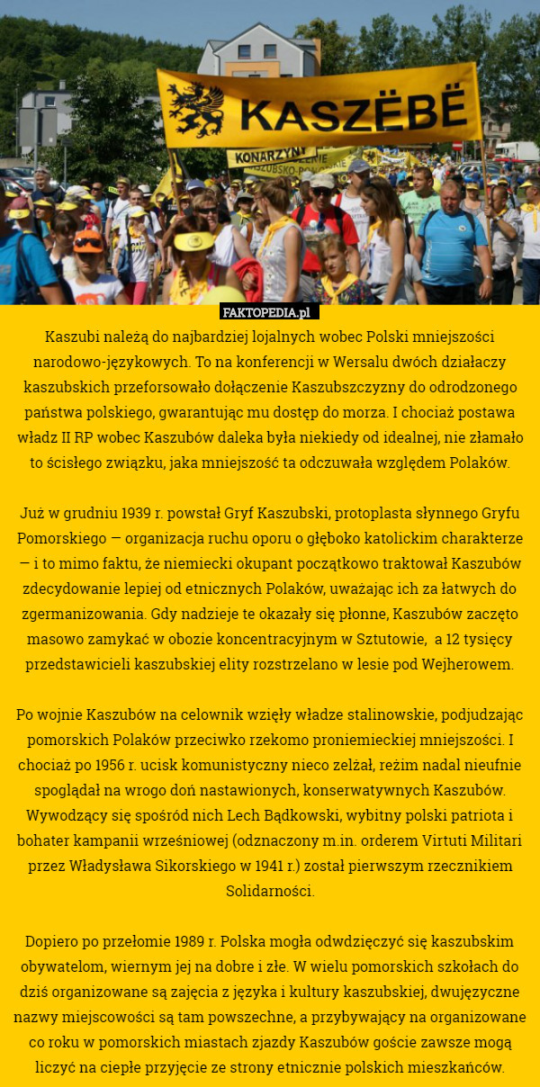 Kaszubi należą do najbardziej lojalnych wobec Polski mniejszości narodowo-językowych.