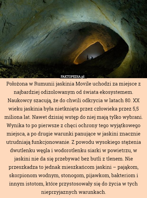 Położona w Rumunii jaskinia Movile uchodzi za miejsce z najbardziej odizolowanym