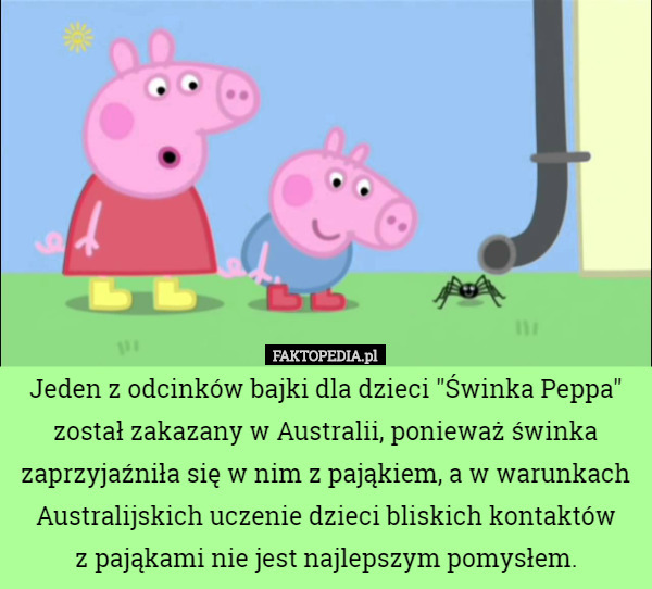 Jeden z odcinków bajki dla dzieci "Świnka Peppa" został zakazany...