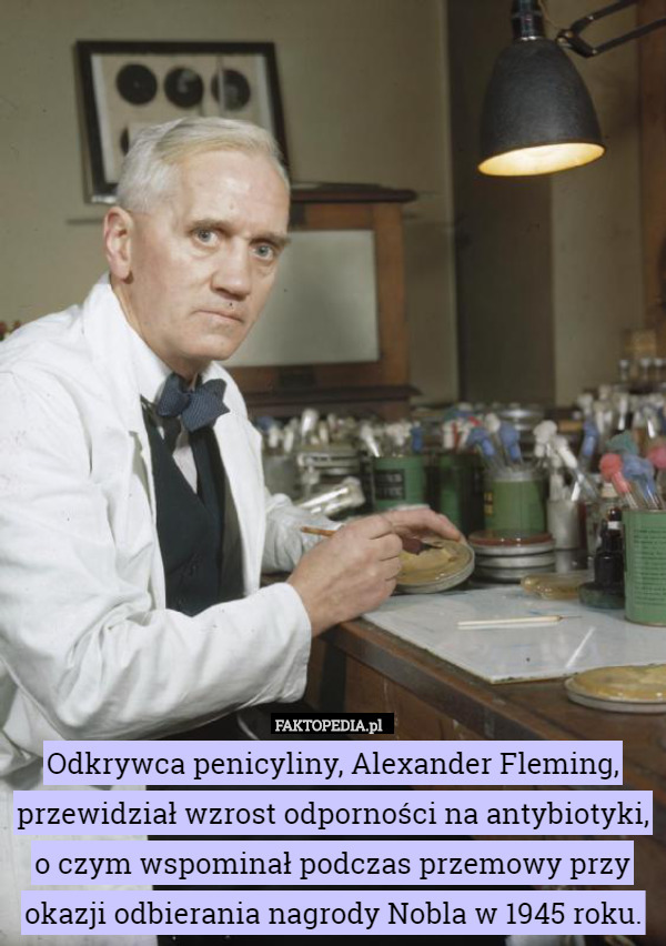 Odkrywca penicyliny, Alexander Fleming, przewidział wzrost odporności na