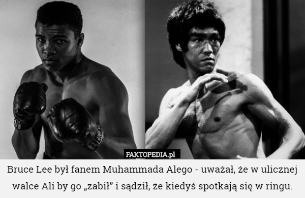 Bruce Lee był fanem Muhammada Alego - uważał, że w ulicznej walce Ali by