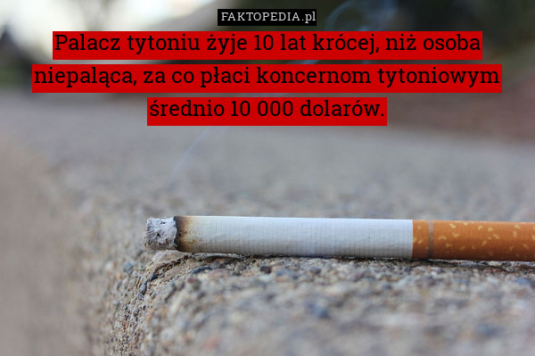 Palacz tytoniu żyje 10 lat krócej, niż osoba niepaląca, za co płaci koncernom