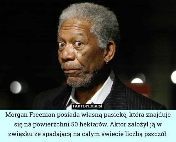 Morgan Freeman posiada własną pasiekę, która znajduje się na powierzchni