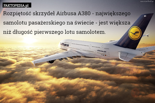 Rozpiętość skrzydeł Airbusa A380 - największego samolotu pasażerskiego na