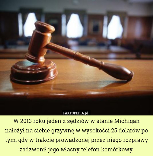 W 2013 roku jeden z sędziów w stanie Michigan nałożył na siebie grzywnę