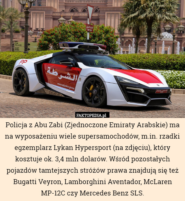 Policja z Abu Zabi (Zjednoczone Emiraty Arabskie) ma na wyposażeniu wiele