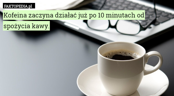 Kofeina zaczyna działać już po 10 minutach od spożycia kawy.