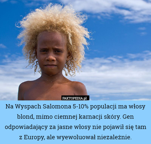 Na Wyspach Salomona 5-10% populacji ma włosy blond, mimo ciemnej karnacji