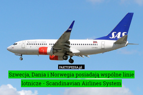 Szwecja, Dania i Norwegia posiadają wspólne linie lotnicze - Scandinavian