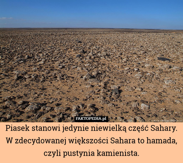 Piasek stanowi jedynie niewielką część Sahary. W zdecydowanej większości