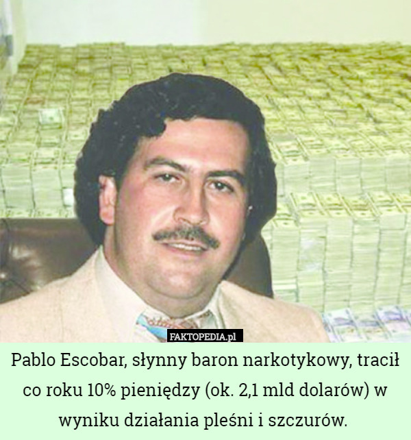 Pablo Escobar, słynny baron narkotykowy, tracił co roku 10% pieniędzy (ok.