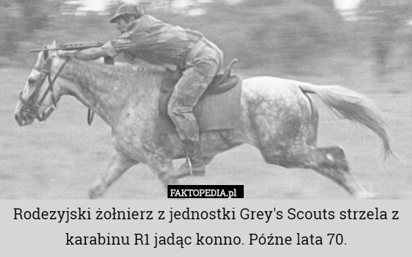 Rodezyjski żołnierz z jednostki Grey's Scouts strzela z karabinu R1