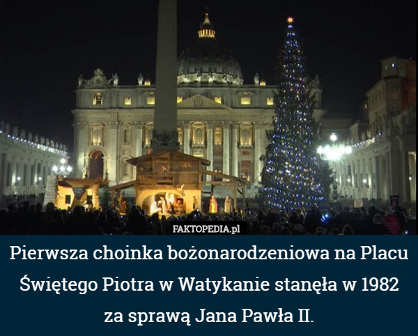 Pierwsza choinka bożonarodzeniowa na Placu Świętego Piotra w Watykanie stanęła