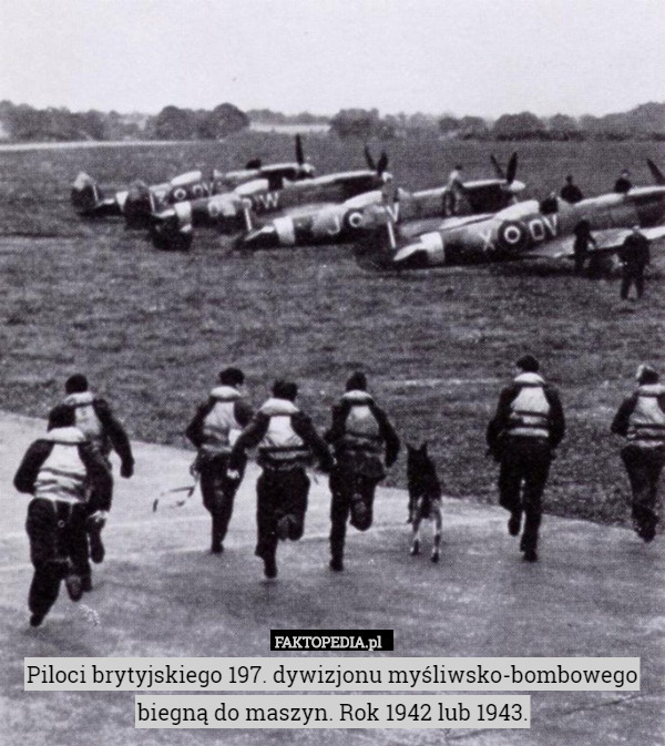 Piloci brytyjskiego 197. dywizjonu myśliwsko-bombowego biegną do maszyn.