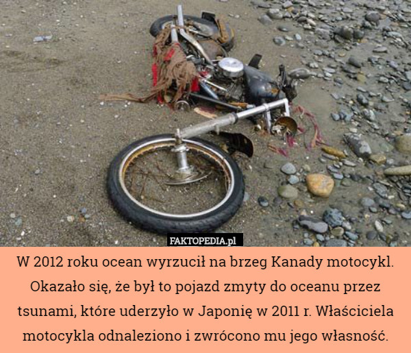 W 2012 roku ocean wyrzucił na brzeg Kanady motocykl. Okazało się, że był