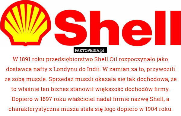 W 1891 roku przedsiębiorstwo Shell Oil rozpoczynało jako dostawca nafty