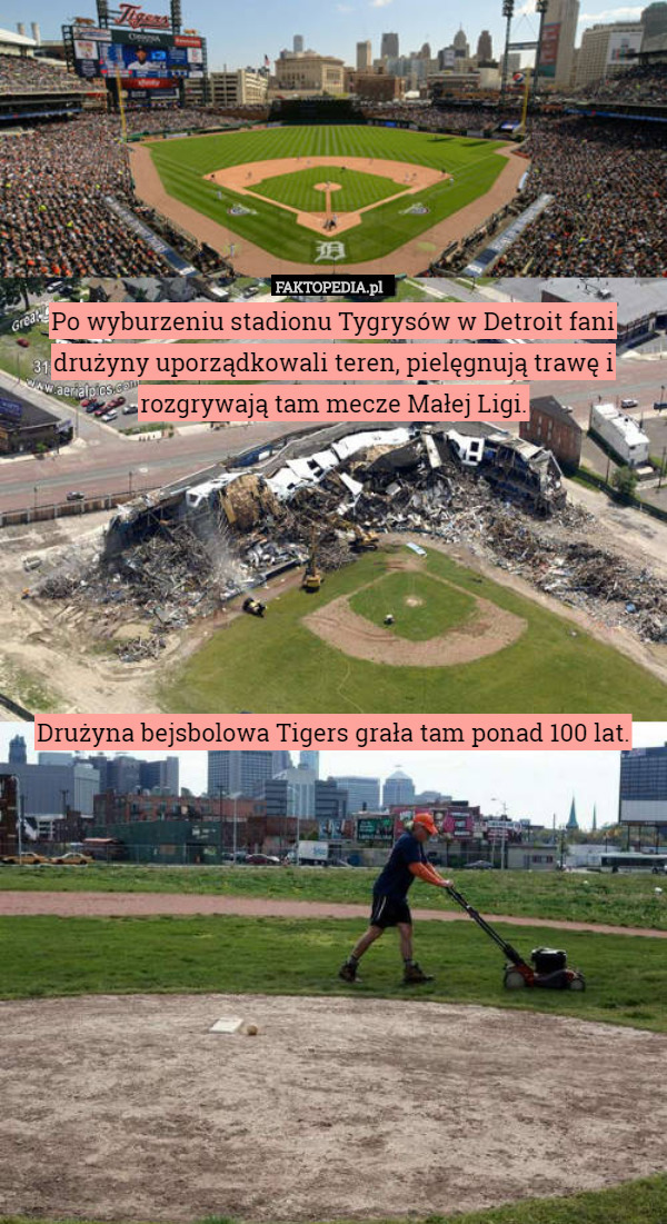 Po wyburzeniu stadionu Tygrysów w Detroit fani drużyny uporządkowali teren,