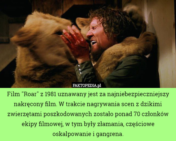 Film "Roar" z 1981 uznawany jest za najniebezpieczniejszy nakręcony