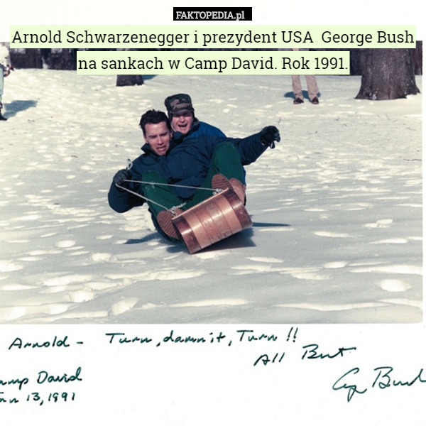 Arnold Schwarzenegger i prezydent USA  George Bush na sankach w Camp David.
