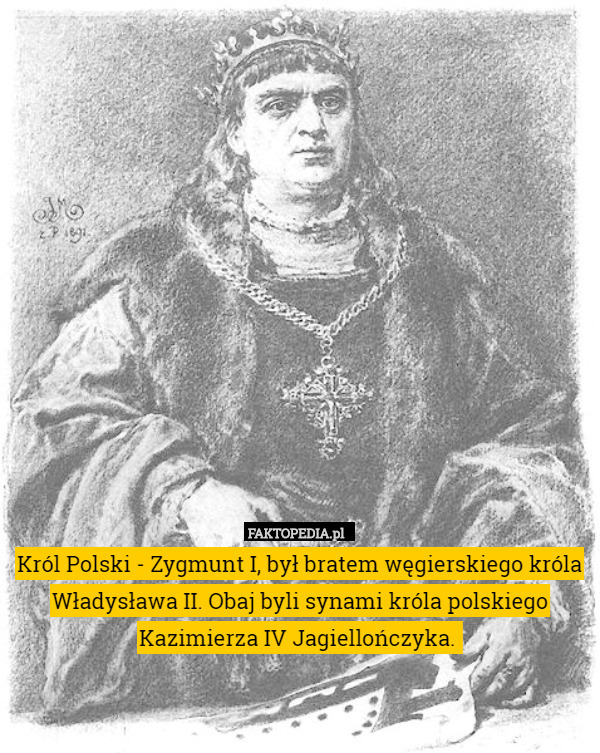 Król Polski - Zygmunt I, był bratem węgierskiego króla Władysława II. Obaj