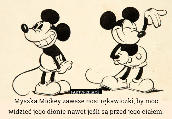 Myszka Mickey zawsze nosi rękawiczki, by móc widzieć jego dłonie nawet jeśli