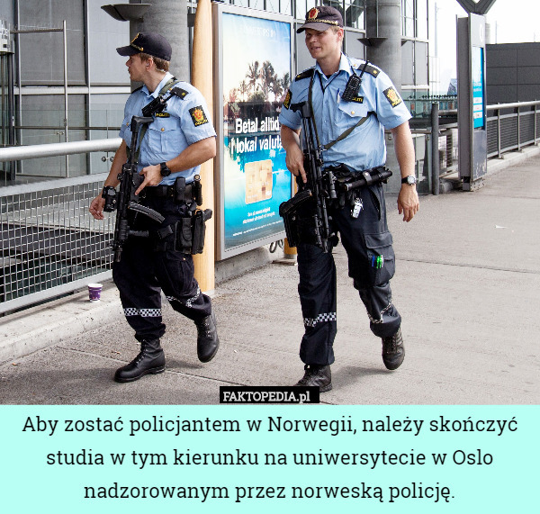 Aby zostać policjantem w Norwegii, należy skończyć studia w tym kierunku