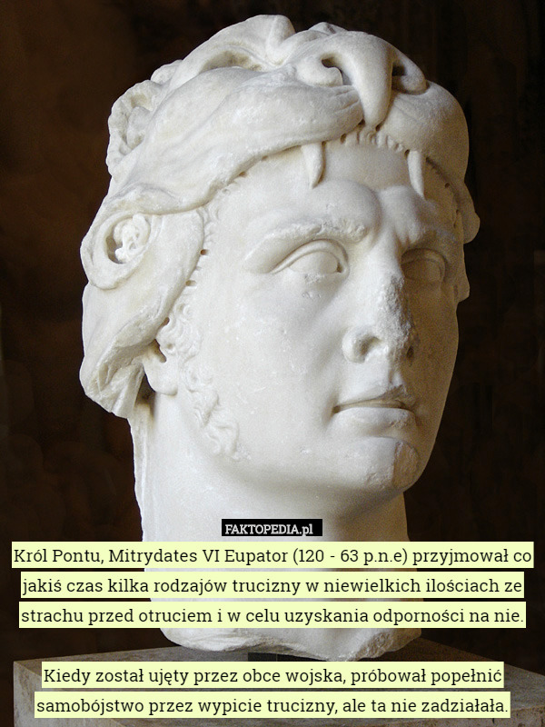 Król Pontu, Mitrydates VI Eupator (120 - 63 p.n.e) przyjmował co jakiś czas