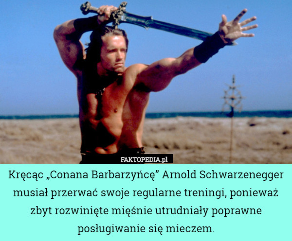 Kręcąc "Conana Barbarzyńcę" Arnold Schwarzenegger musiał przerwać