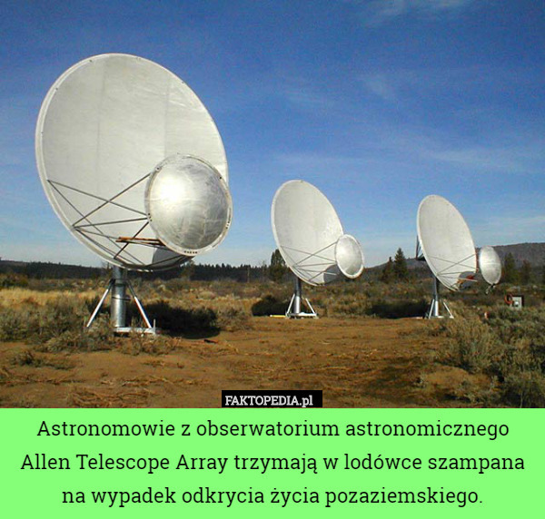 Astronomowie z obserwatorium astronomicznego Allen Telescope Array trzymają
