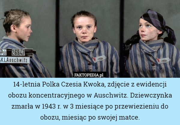 14-letnia Polka Czesia Kwoka, zdjęcie z ewidencji obozu koncentracyjnego