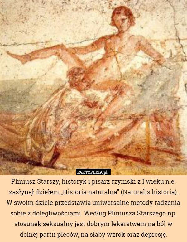 Pliniusz Starszy, historyk i pisarz rzymski z I wieku n.e. zasłynął dziełem
