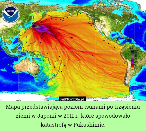 Mapa przedstawiająca poziom tsunami po trzęsieniu ziemi w Japonii w 2011