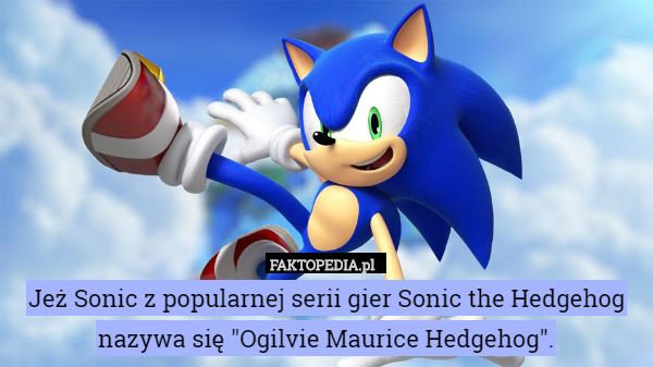 Jeż Sonic z popularnej serii gier Sonic the Hedgehog nazywa się "Ogilvie