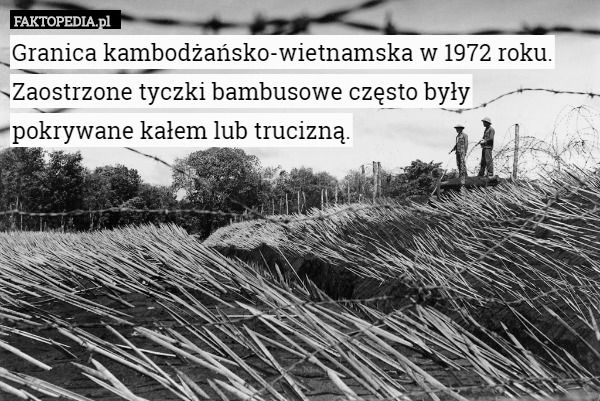 Granica kambodżańsko-wietnamska w 1972 roku. Zaostrzone tyczki bambusowe